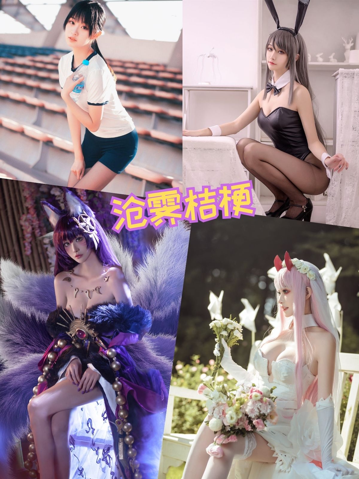 沧霁桔梗 Cosplay兔女郎黑丝写真资源合集下载