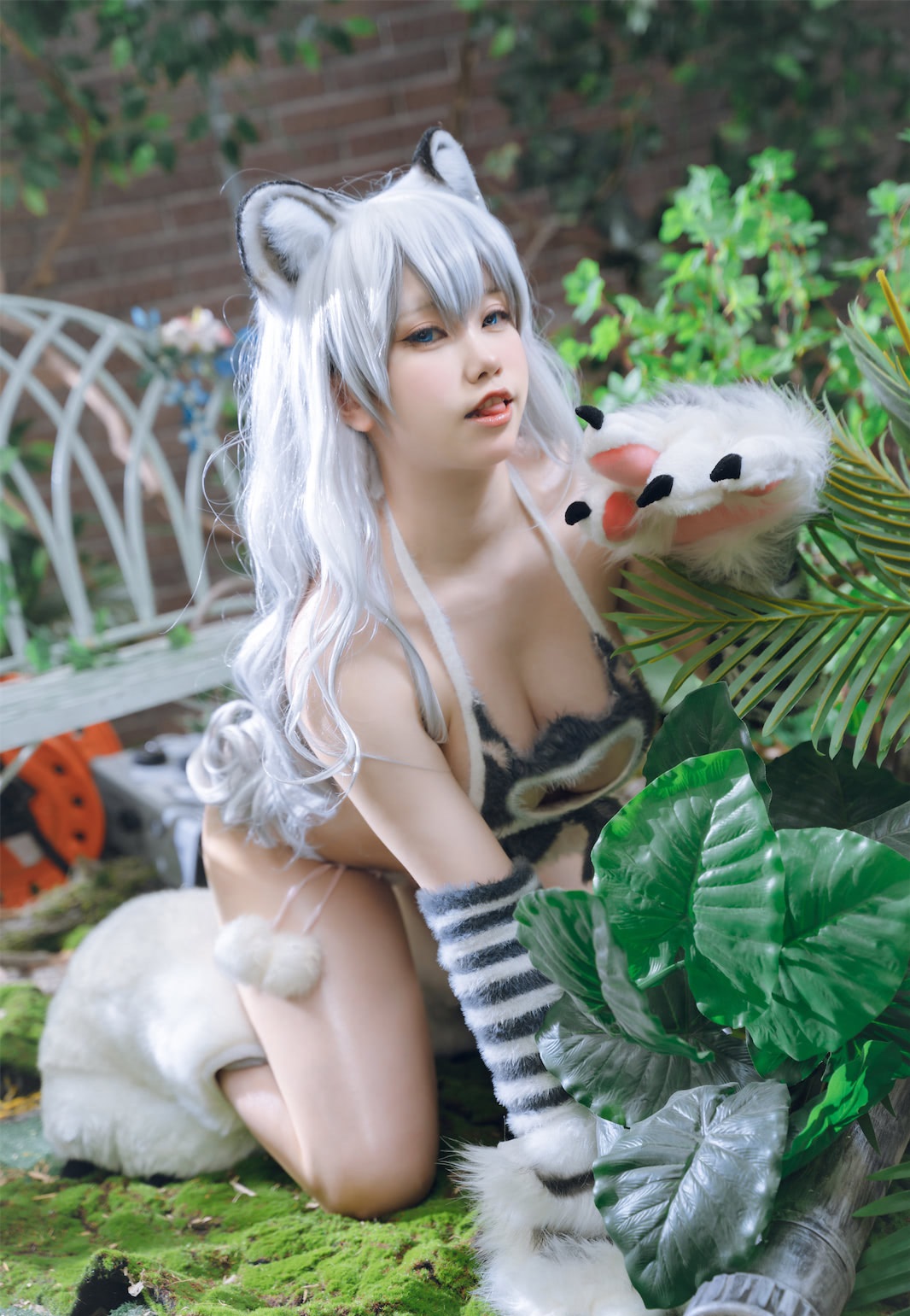 北亦北 眼镜娘黑丝写真图片以及视频合集下载