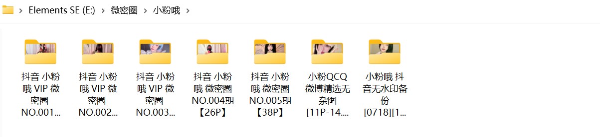 小粉学姐 蜂腰翘臀黑丝御姐 微密圈写真图包合集