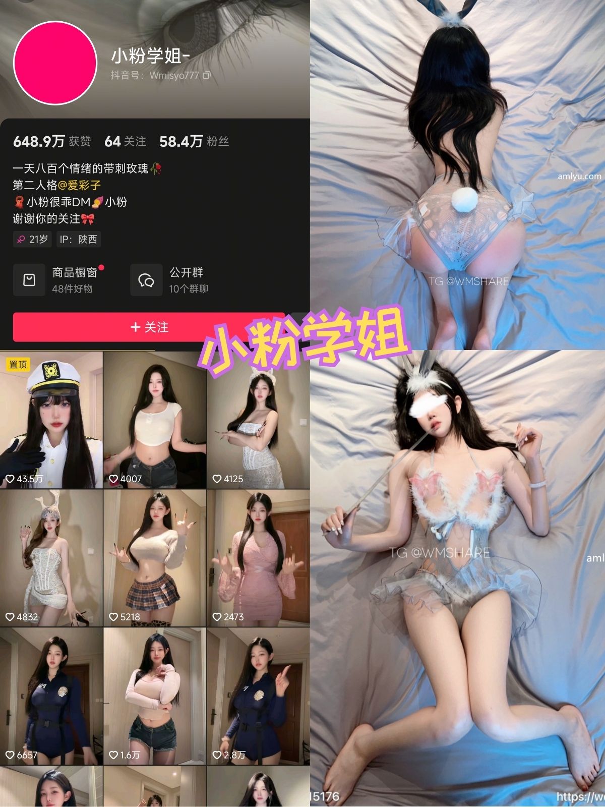 小粉学姐 蜂腰翘臀黑丝御姐 微密圈写真图包合集