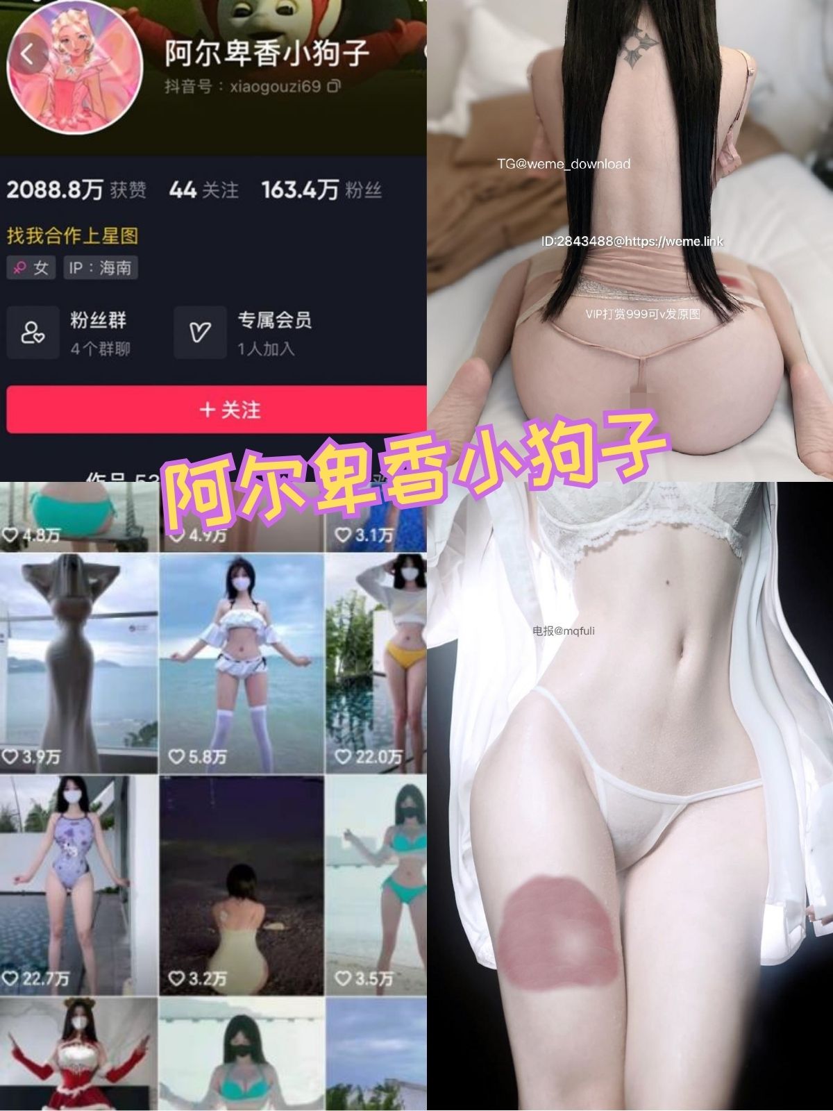 阿尔卑香小狗子 蜂腰翘臀黑丝御姐 写真图包合集下载