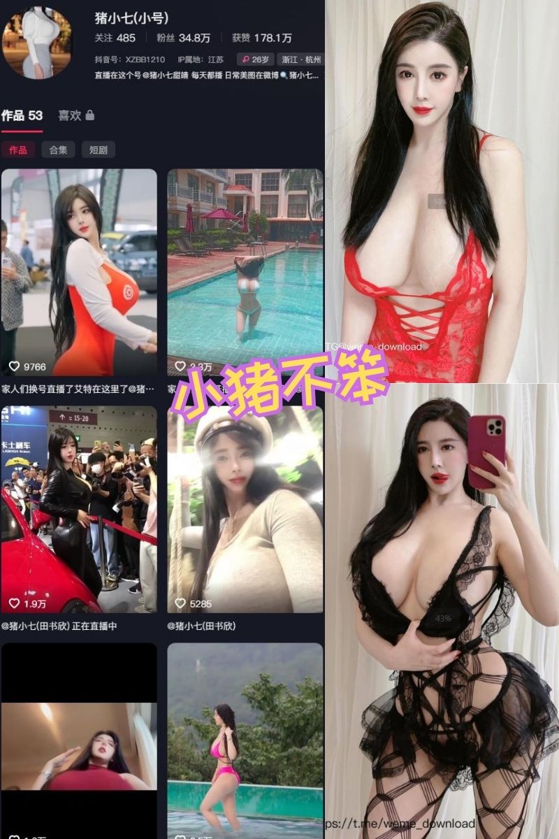猪小七/小猪不笨 纤腰巨乳美女写真及视频资源下载