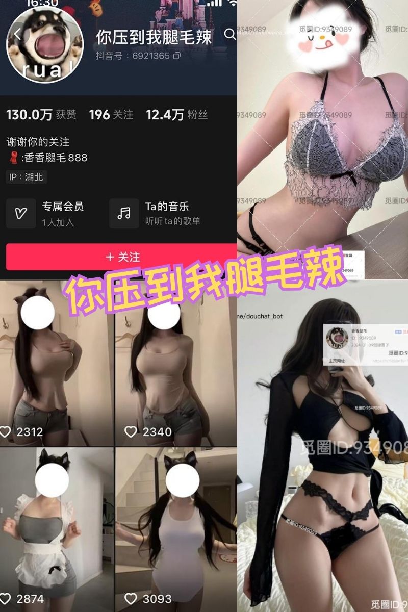 你压到我腿毛辣 觅圈写真资源及视频合集下载