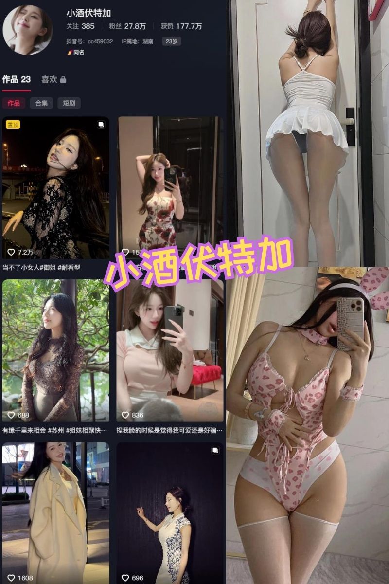 小酒伏特加 性感尤物天花板 写真资源及视频合集下载