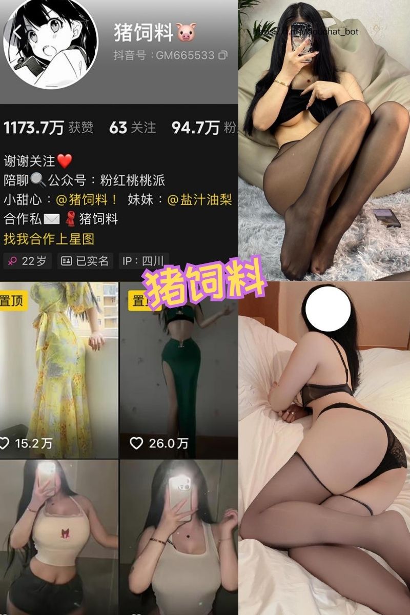 猪饲料 空姐制服私房写真图片及视频合集下载