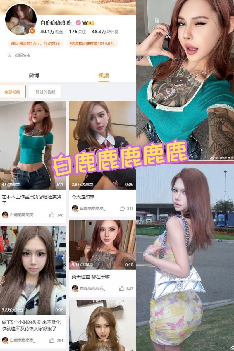 白鹿鹿鹿鹿鹿 微博性感网红美女写真及视频资源合集下载