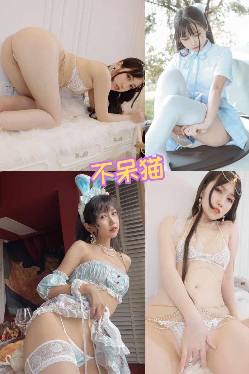 不呆猫 写真合集下载